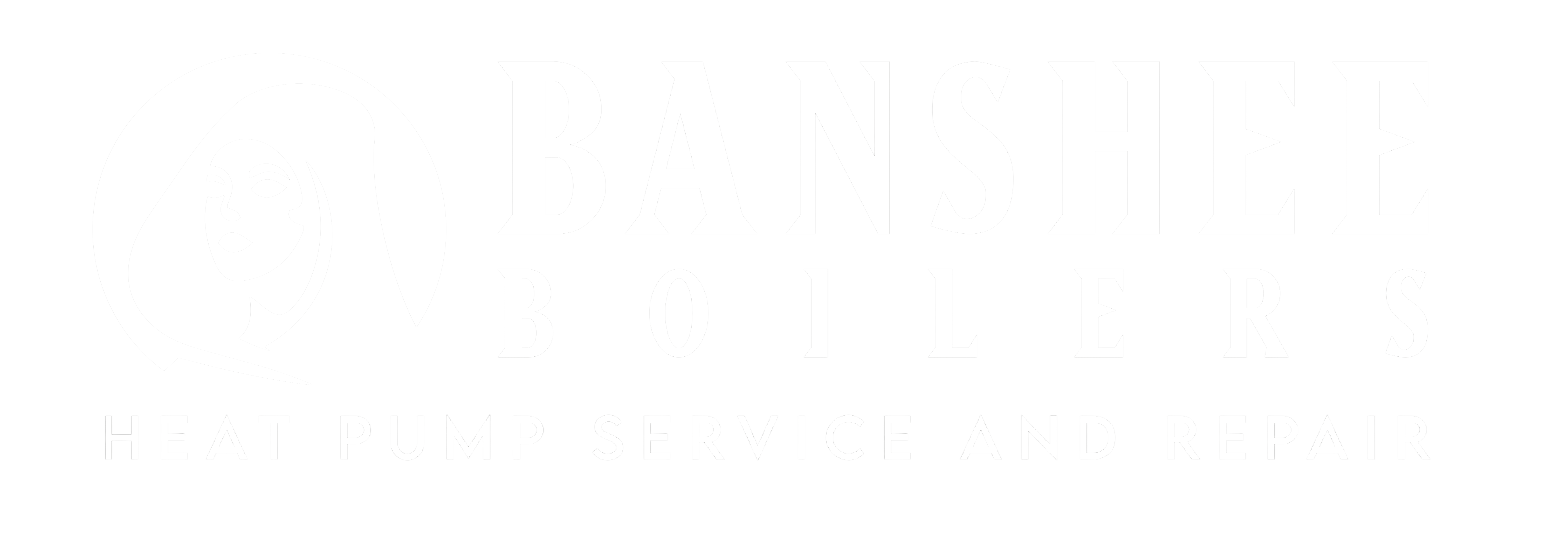 Banshee Boilers heat pump service and repair